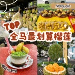 全马最划算榴莲
