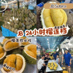 榴莲控请进！JB榴莲档推荐＋山竹搭配攻略全收录