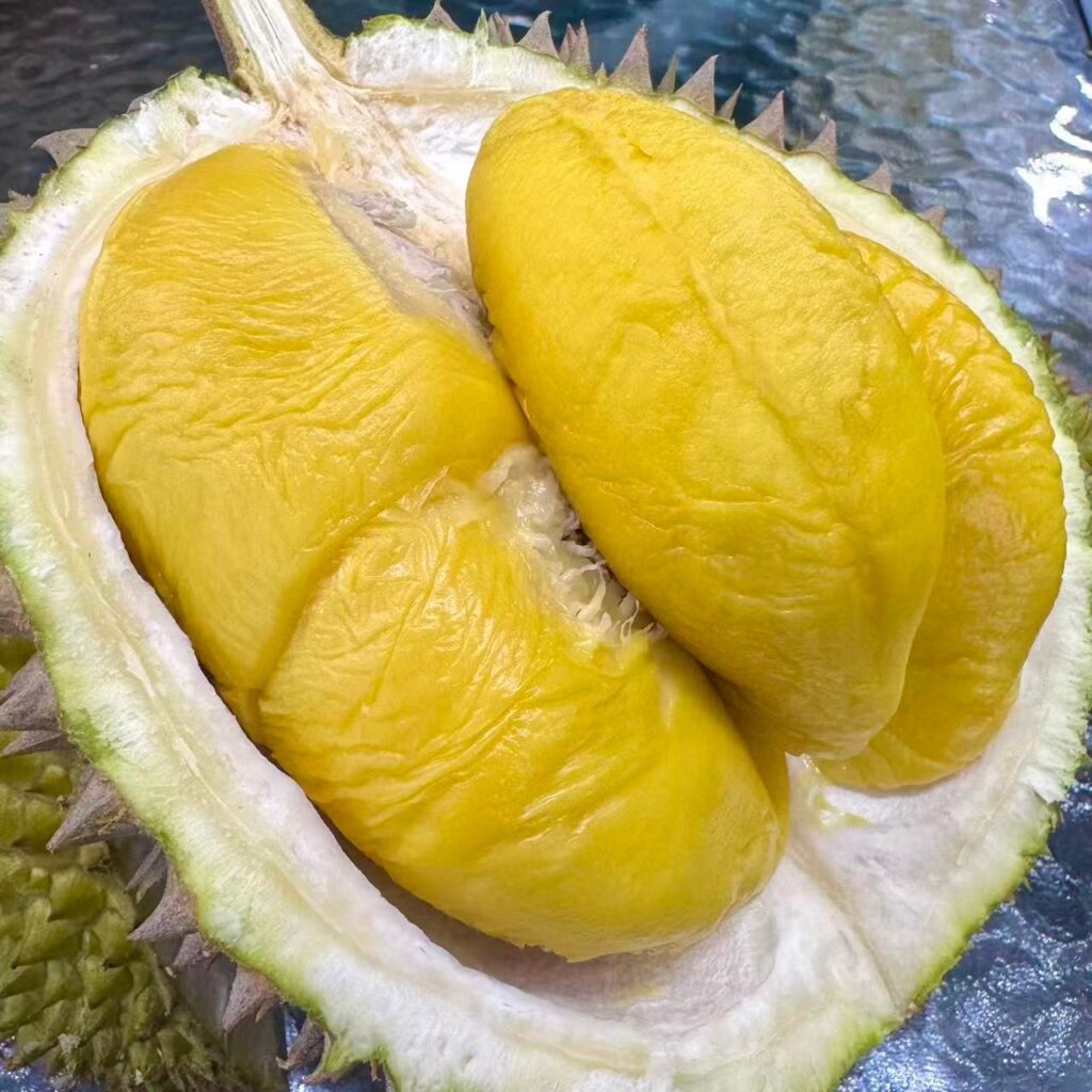 King Fruits Durian 水果王