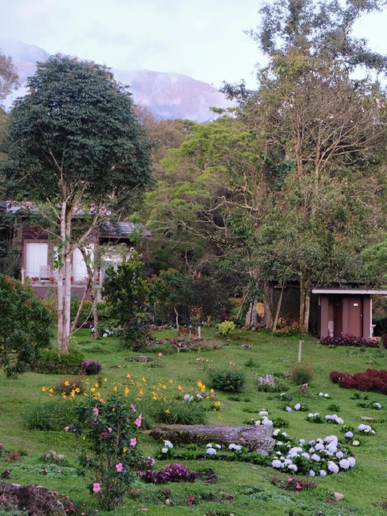Spring Garden